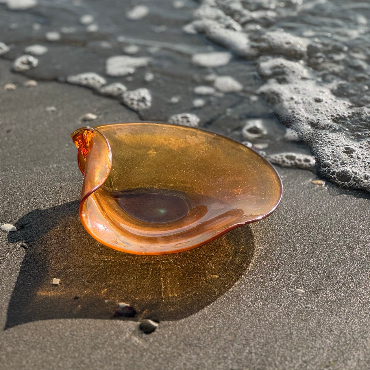 Conchiglia Ambra