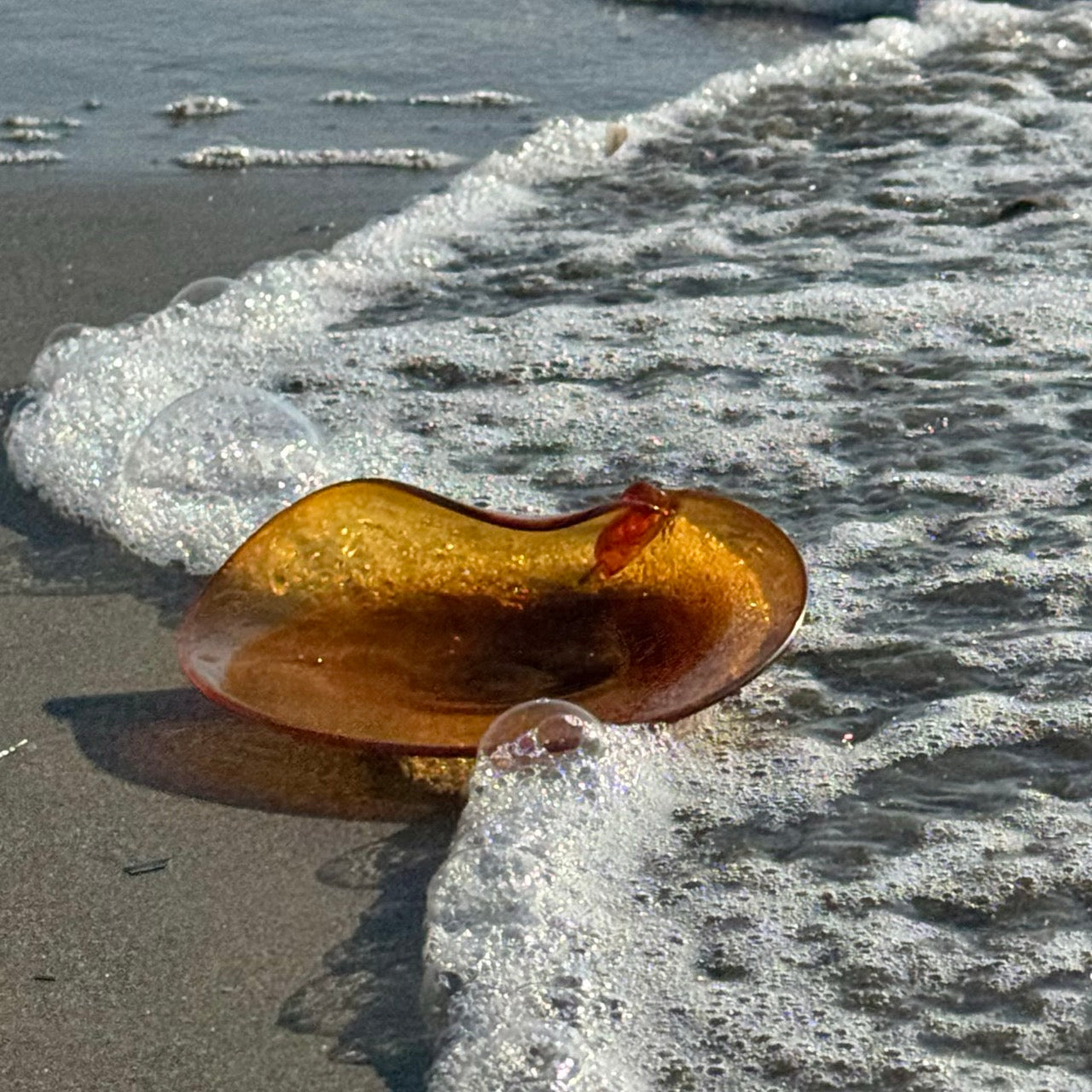 Conchiglia Ambra