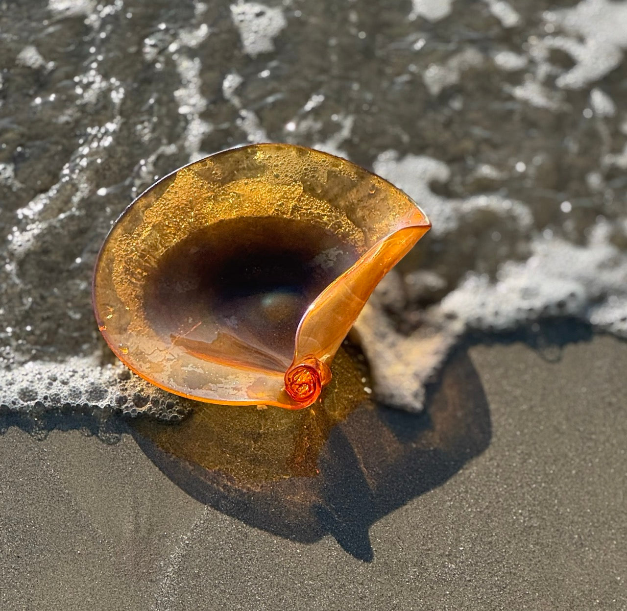 Conchiglia Ambra