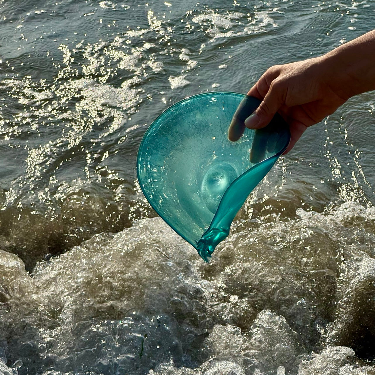 Conchiglia Acqua