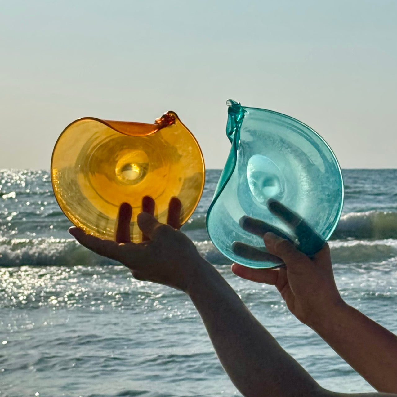 Conchiglia Acqua