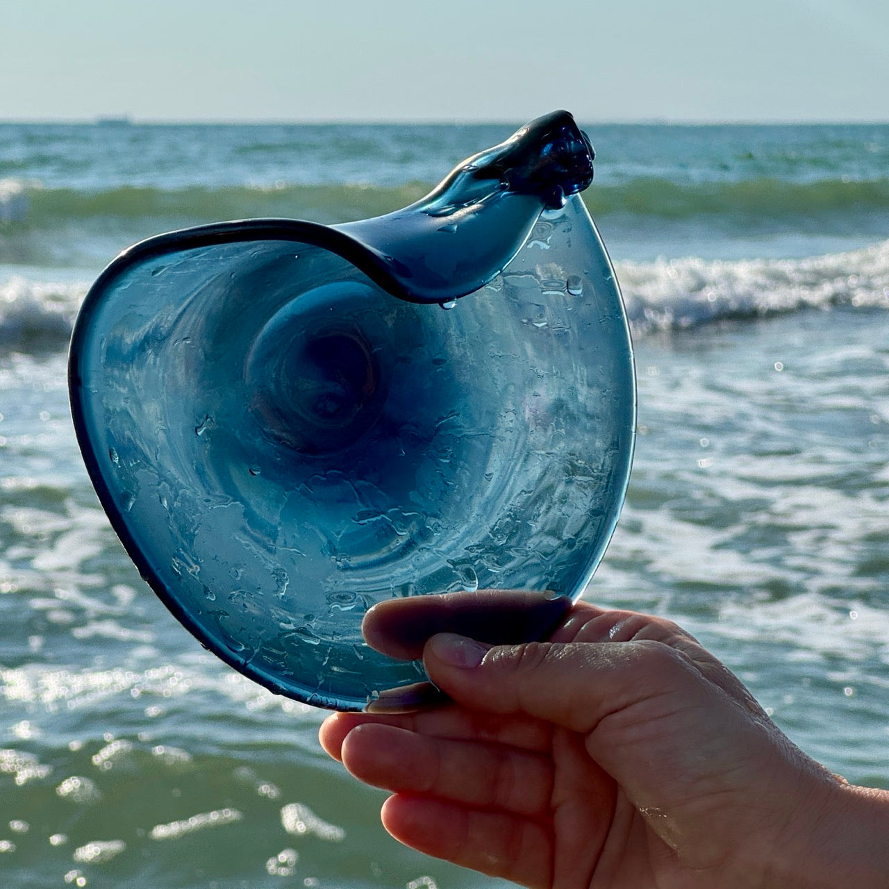 Conchiglia Oceano